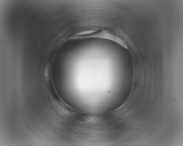 X0000075400074200609251029