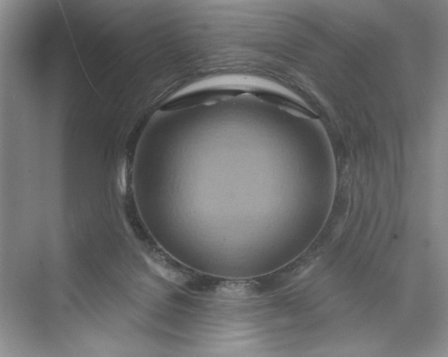 X0000075400076200609251029