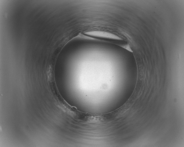 X0000075400077200609251029