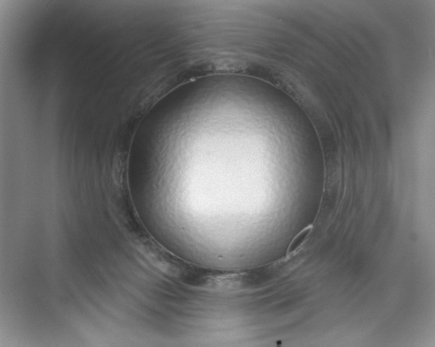 X0000075400078200609251029