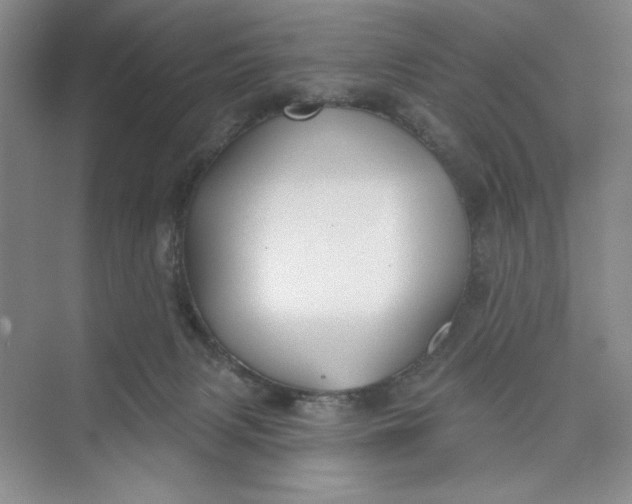 X0000075400079200609251029