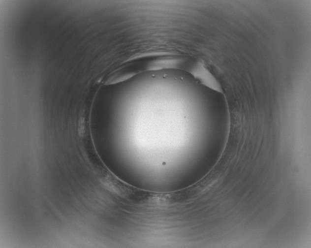 X0000075400080200609251029