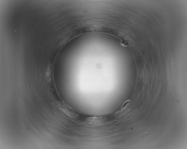 X0000075400082200609251029