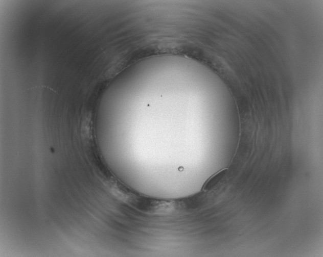 X0000075400083200609251029