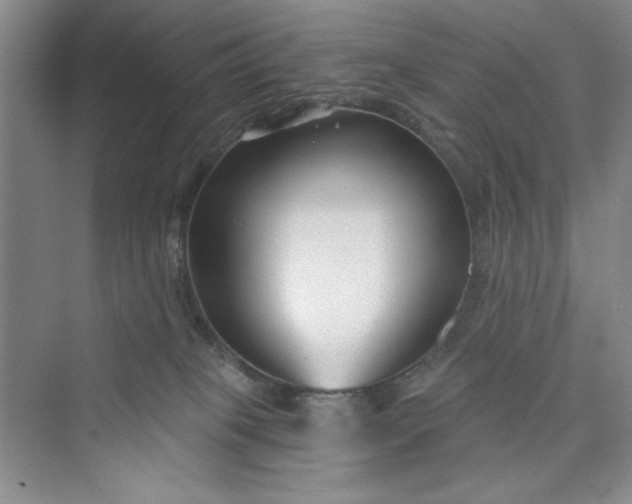 X0000075400085200609251029