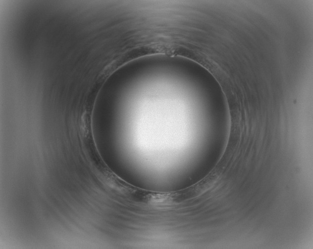 X0000075400088200609251029