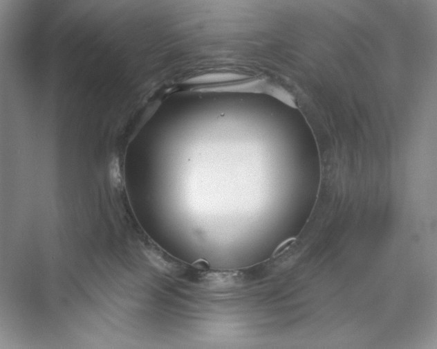 X0000075400089200609251029