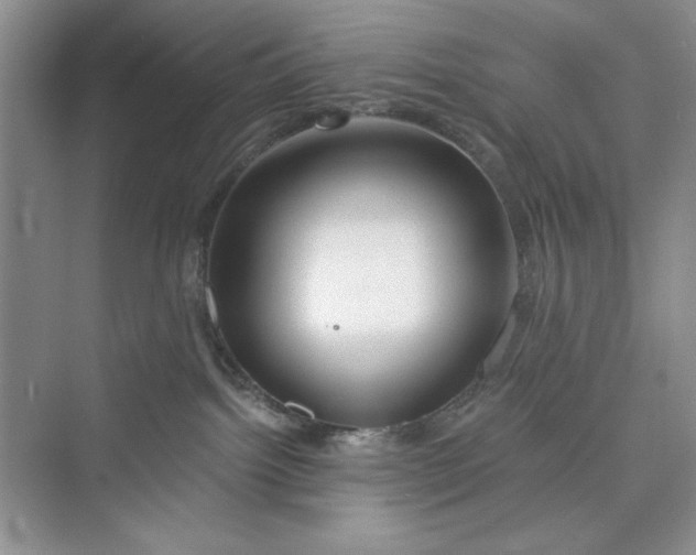 X0000075400092200609251029