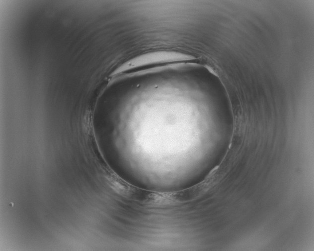 X0000075400093200609251029