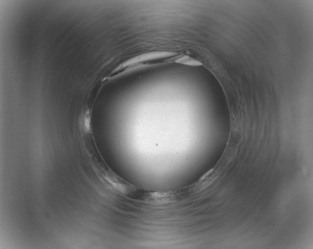 X0000075400095200609251029