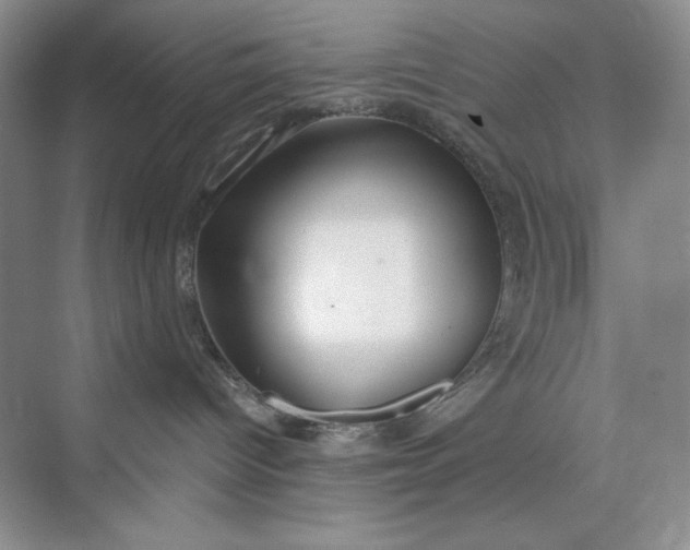 X0000075400096200609251030