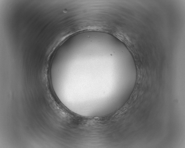 X0000075400098200609251029