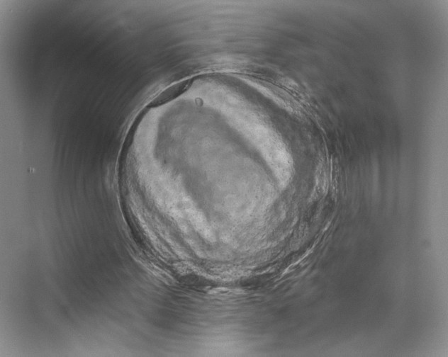 X0000075400099200609251029