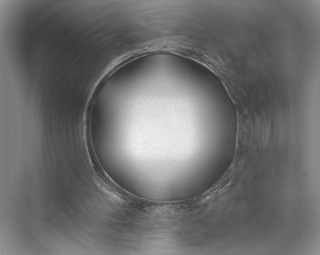 X0000075400100200609251029