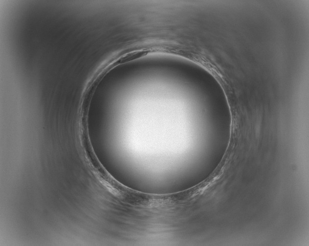 X0000075400101200609251029