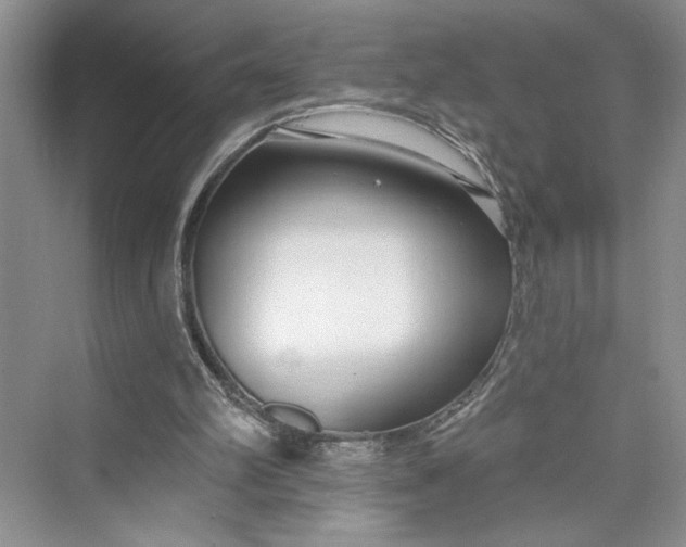 X0000075400102200609251029