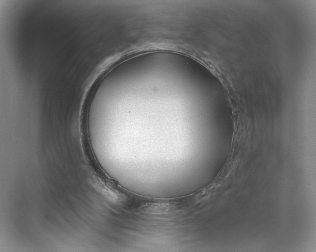 X0000075400104200609251029