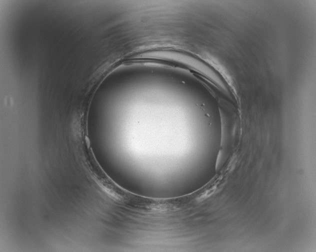 X0000075400105200609251029