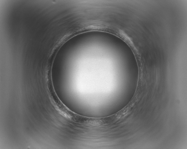 X0000075400106200609251029