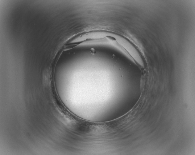 X0000075400107200609251029