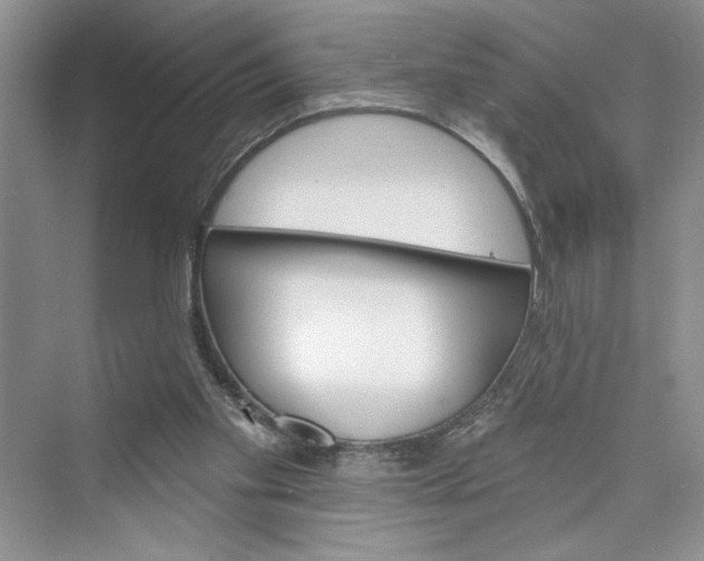 X0000075400109200609251028