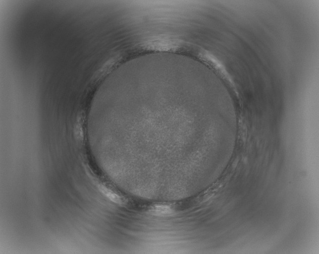 X0000075400114200609251028