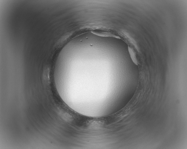 X0000075400115200609251028