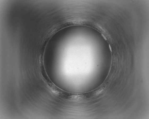 X0000075400117200609251028