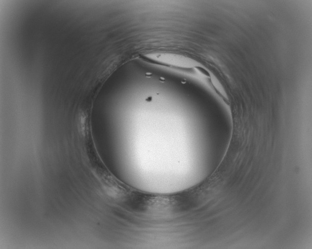 X0000075400123200609251028