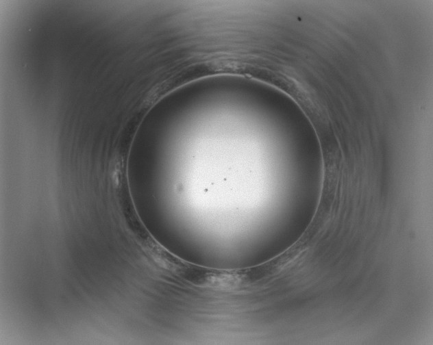 X0000075400125200609251028