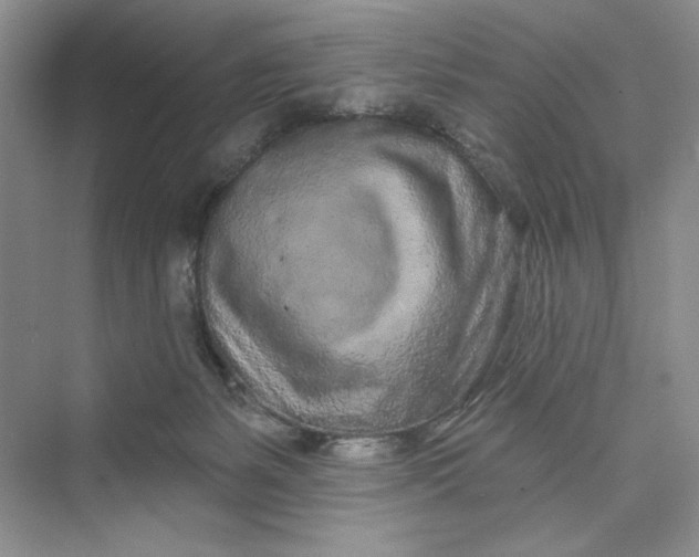 X0000075400127200609251028