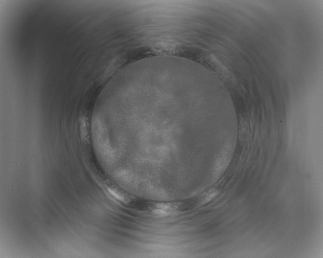 X0000075400130200609251028