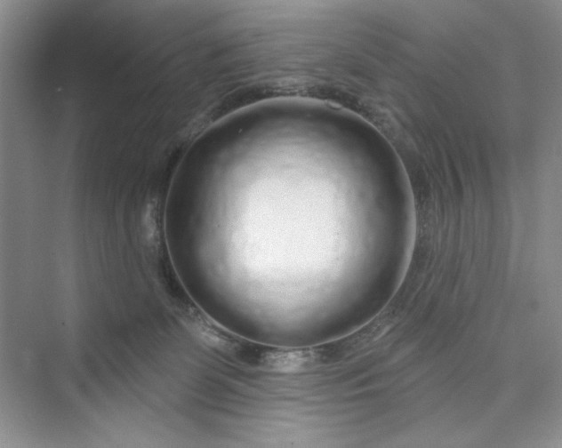 X0000075400131200609251028