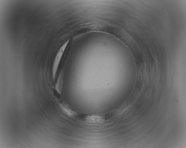 X0000075400137200609251028