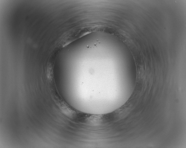 X0000075400138200609251028