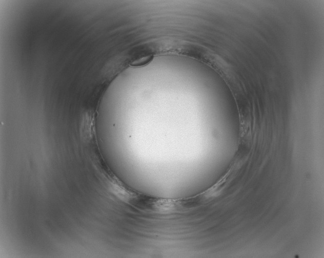 X0000075400142200609251028