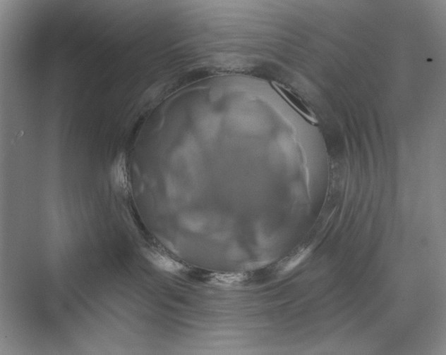 X0000075400143200609251028