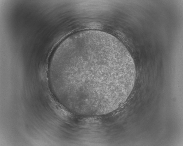 X0000075400146200609251027