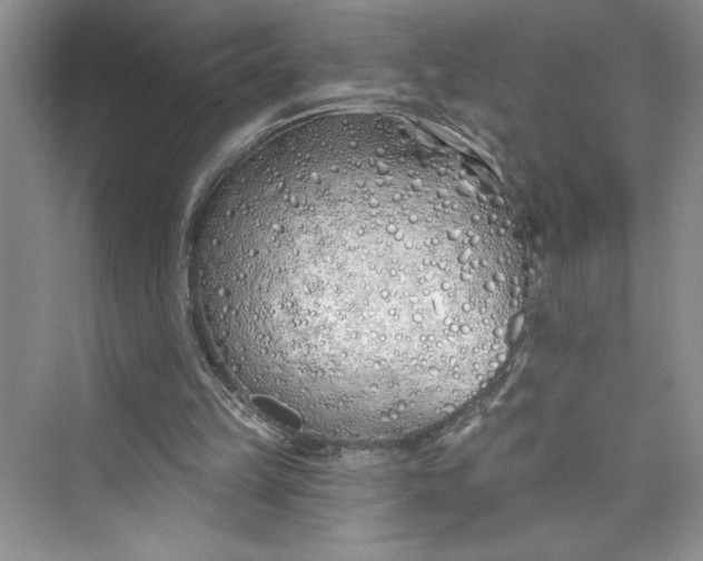 X0000075400149200609251027