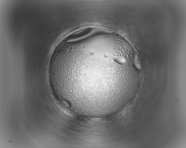 X0000075400151200609251027