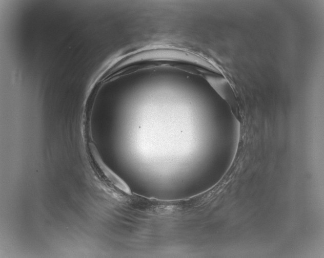 X0000075400152200609251027