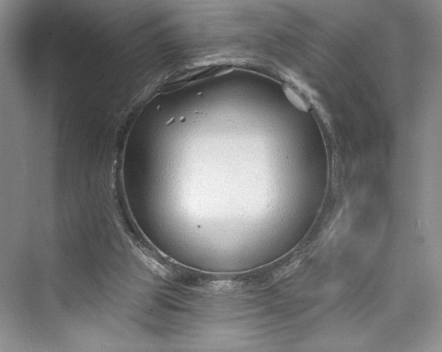 X0000075400153200609251027