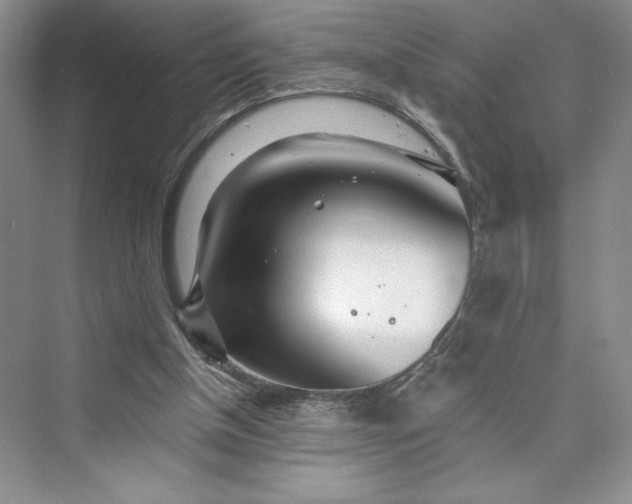 X0000075400154200609251027