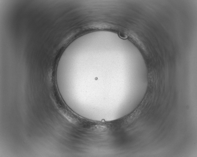 X0000075400159200609251027