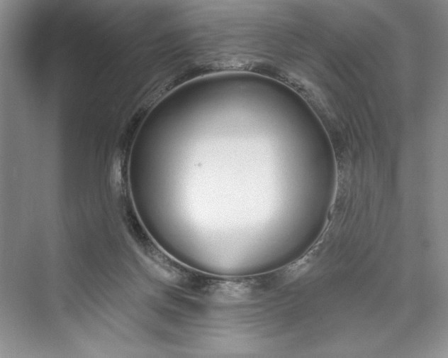 X0000075400166200609251027