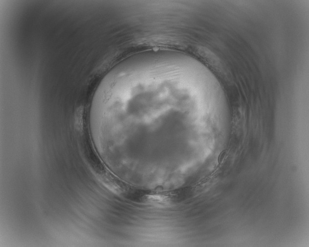 X0000075400167200609251027