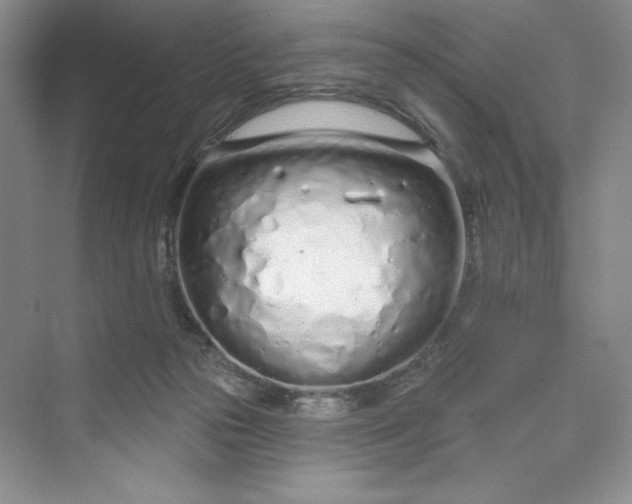 X0000075400169200609251027