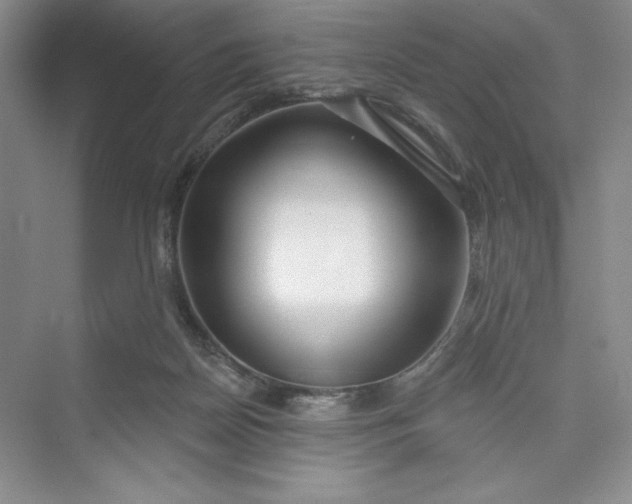 X0000075400170200609251028