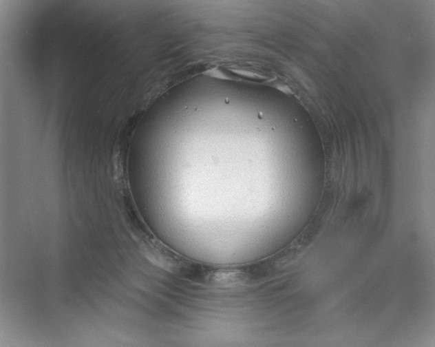 X0000075400173200609251028