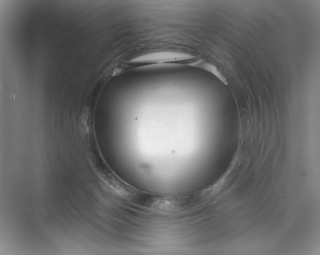 X0000075400174200609251028